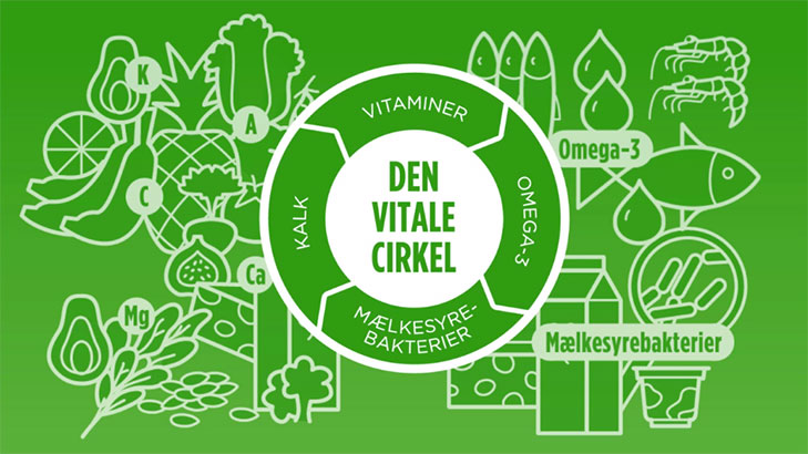 Skærmbillede af titelskærmen fra videoen Den Vitale Cirkel. Baggrunden er grøn og oven på er tegnet en masse forskellige fødevarer. Fødevarerne er tonet lidt ud i baggrunden så der er fokus på overskriften: Den Vitale Cirkel -  som er placeret ovenpå fødevarerne i midten af skærmen.