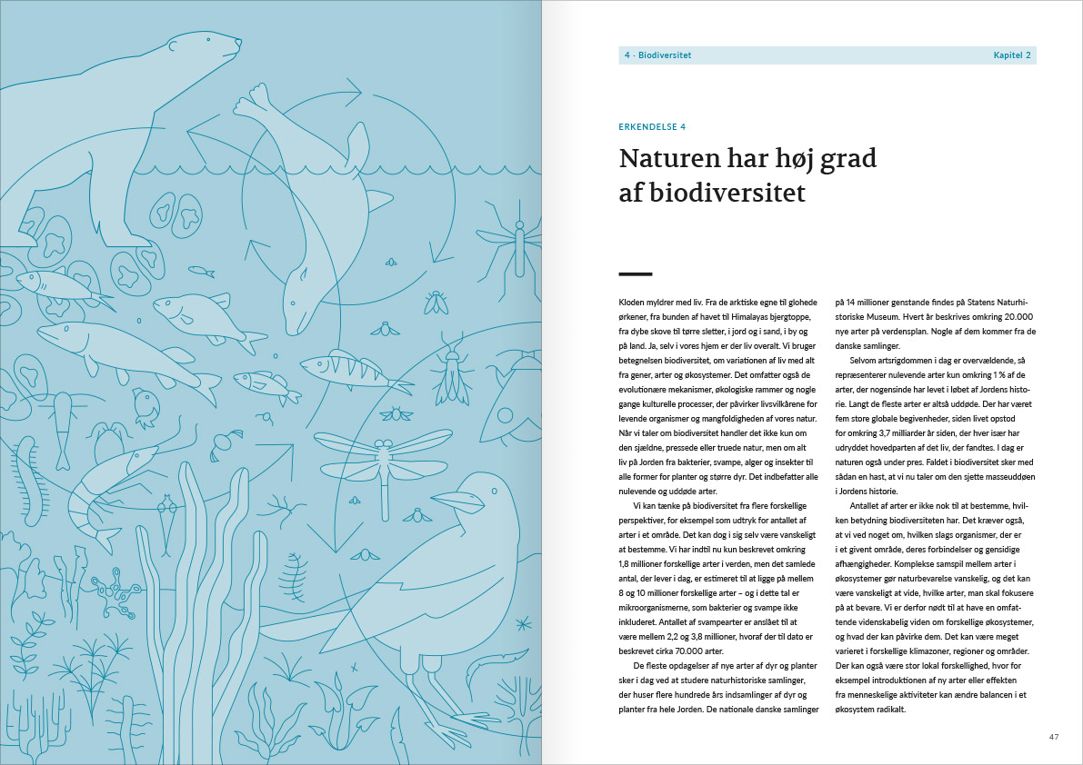 Layout af opslag med side 46 og 47 fra Naturvidenskabens ABC. Opslaget er introduktionen til afsnittet med erkendelse nummer 4: Biodiversitet. Venstre side er en stor illustration med en masse forskellige dyr. Der er fokus på en isbjørn, en sæl der hopper op af vandet og en stor krage. Derudover er der nogle mindre krebsdyr, en masse insekter, nogle fisk og forskelligt tang. Indover dyrene ligger der nogle pile som danner forskellige cirkler som giver illustrationen et abstrakt look. På højresiden er der en overskirft: Naturen har høj grad a biodiversitet.