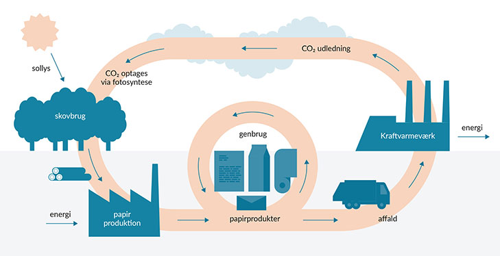 Infografik med biomassekredsløb til Naturvidenskabens ABC udgivet af Undervisnigsministeriet